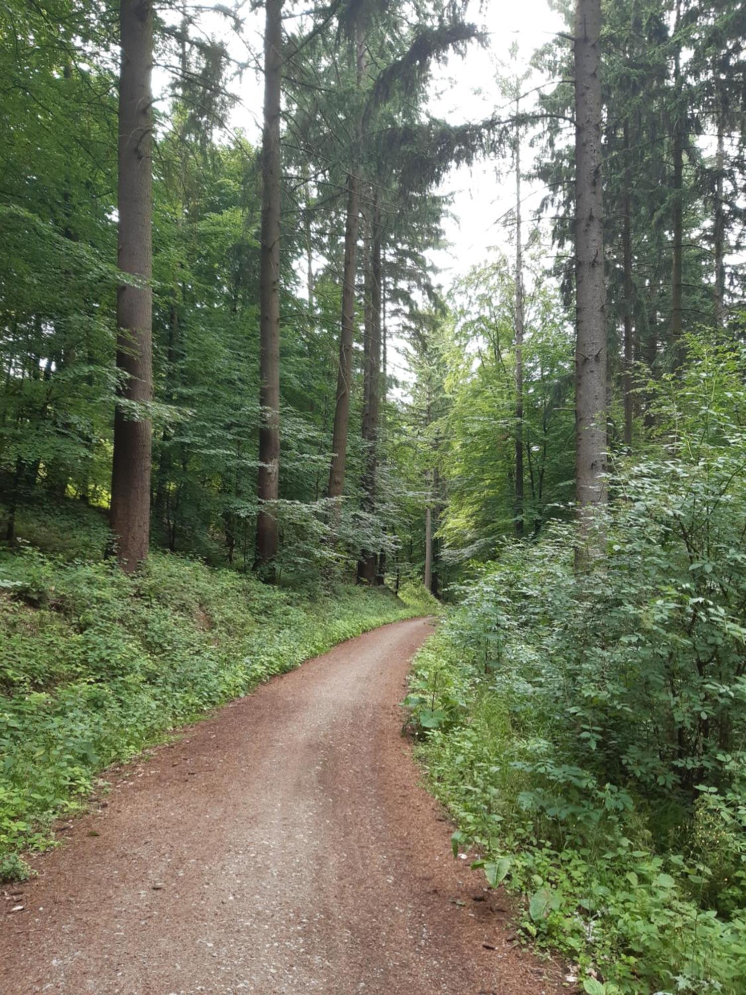 Apartamento Gemuetliche Dachwohnung Am Tor Zum Schwarzwald *