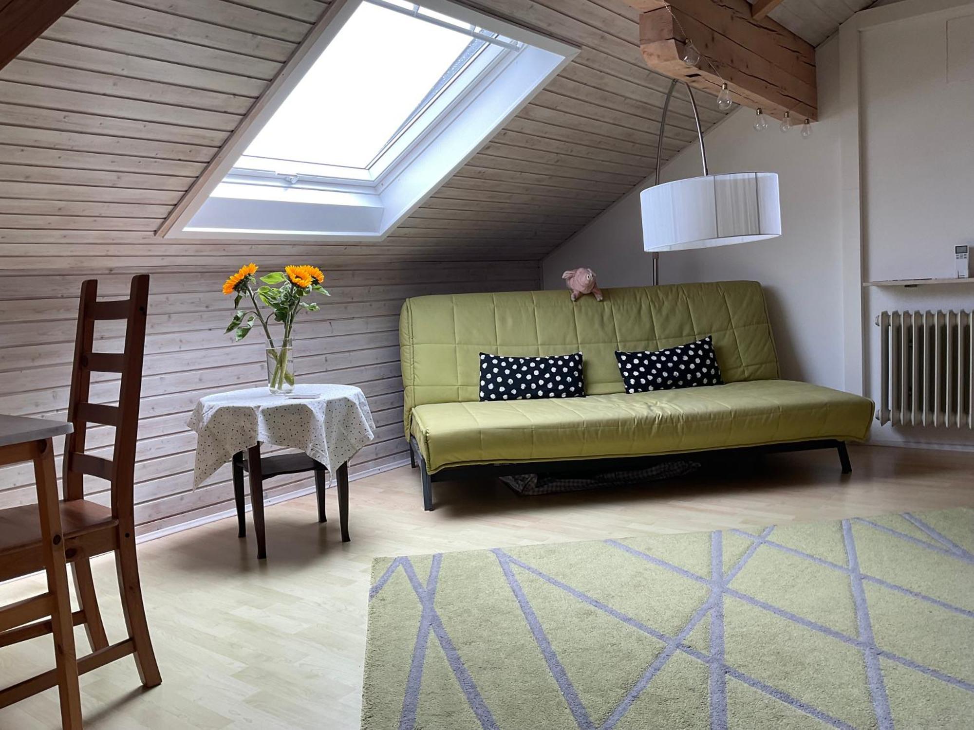 Gemuetliche Dachwohnung Am Tor Zum Schwarzwald Apartment Bischweier