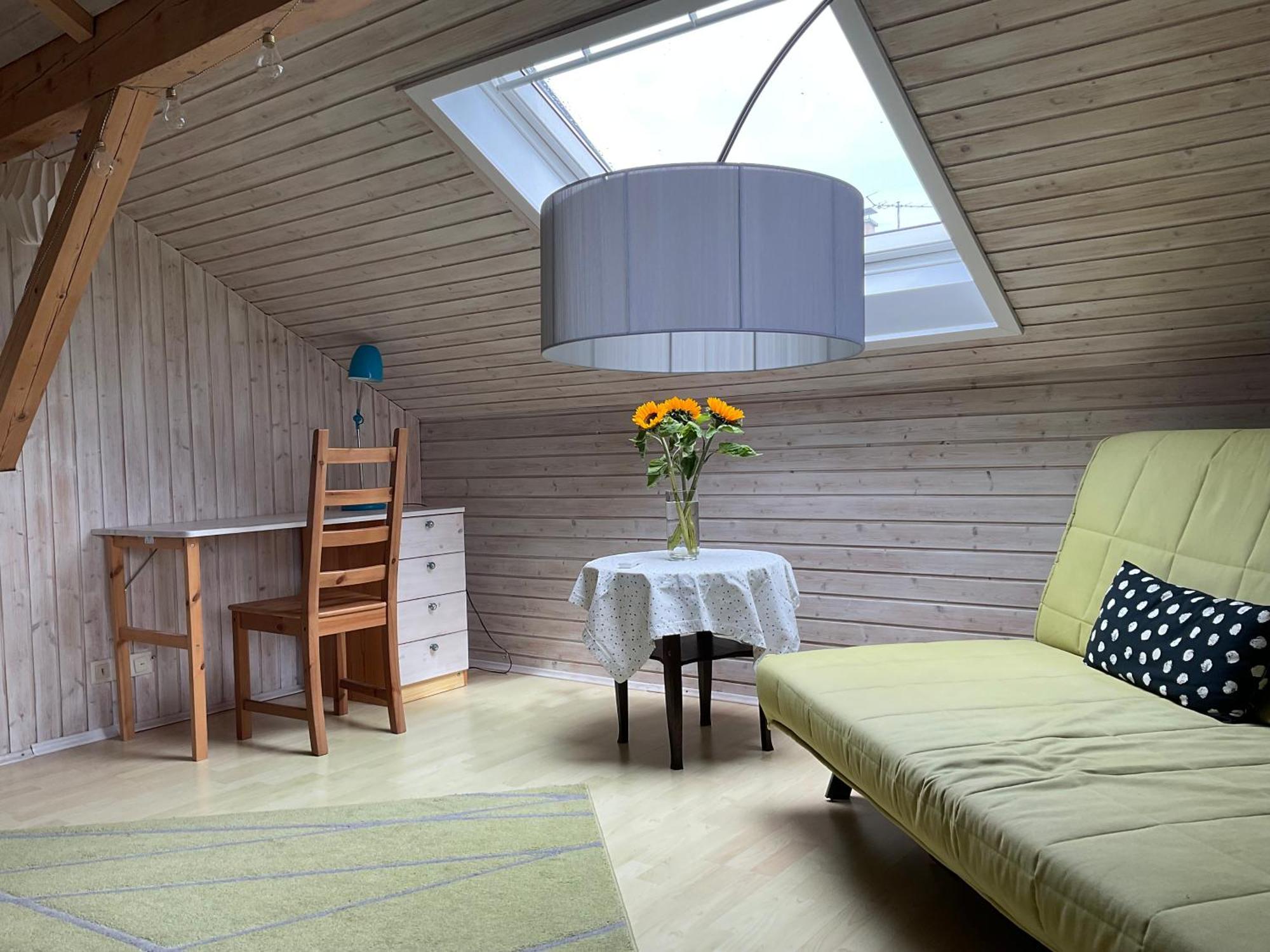 Apartment Gemuetliche Dachwohnung Am Tor Zum Schwarzwald Bischweier
